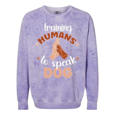 Training Hu To Speak Dog Trainer Dog Training Gift Colorblast Crewneck Sweatshirt