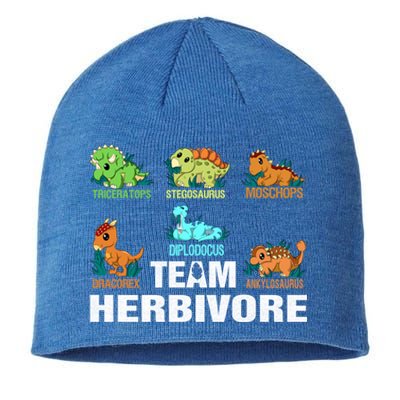 Team Herbivores Veganism Herbivore Dinosaur Gift Sustainable Beanie