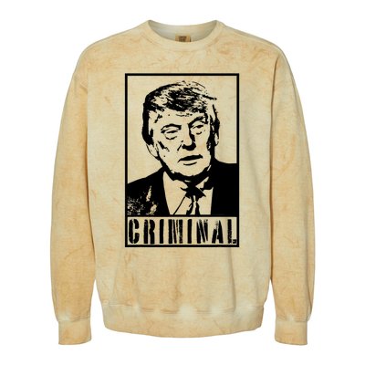 Trump Is A Criminal Anti Trump Impeach The President Colorblast Crewneck Sweatshirt