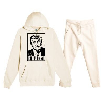 Trump Is A Criminal Anti Trump Impeach The President Premium Hooded Sweatsuit Set