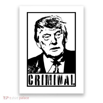 Trump Is A Criminal Anti Trump Impeach The President Poster