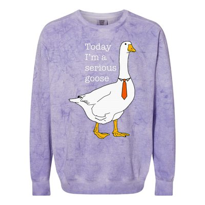 Today IM A Serious Goose Silly Goose Cute Funny Colorblast Crewneck Sweatshirt