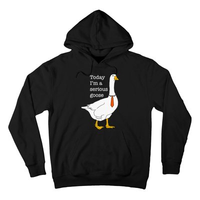 Today IM A Serious Goose Silly Goose Cute Funny Hoodie