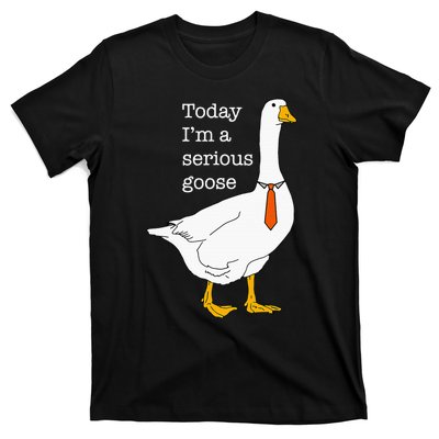 Today IM A Serious Goose Silly Goose Cute Funny T-Shirt