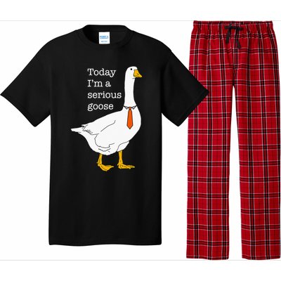 Today IM A Serious Goose Silly Goose Cute Funny Pajama Set