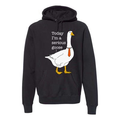 Today IM A Serious Goose Silly Goose Cute Funny Premium Hoodie