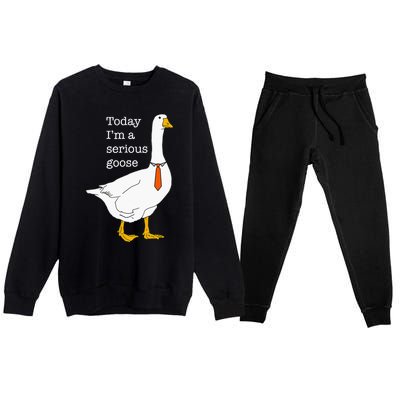 Today IM A Serious Goose Silly Goose Cute Funny Premium Crewneck Sweatsuit Set