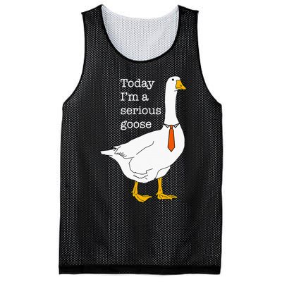 Today IM A Serious Goose Silly Goose Cute Funny Mesh Reversible Basketball Jersey Tank