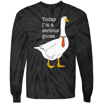 Today IM A Serious Goose Silly Goose Cute Funny Tie-Dye Long Sleeve Shirt