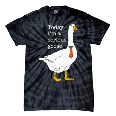 Today IM A Serious Goose Silly Goose Cute Funny Tie-Dye T-Shirt