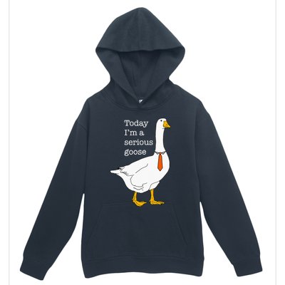 Today IM A Serious Goose Silly Goose Cute Funny Urban Pullover Hoodie