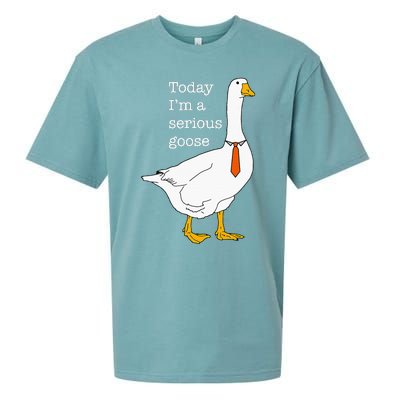 Today IM A Serious Goose Silly Goose Cute Funny Sueded Cloud Jersey T-Shirt