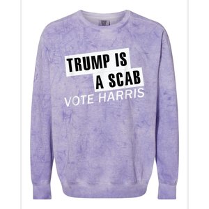 Trump Is A Scab Vote Kamala Harris 2024 Colorblast Crewneck Sweatshirt