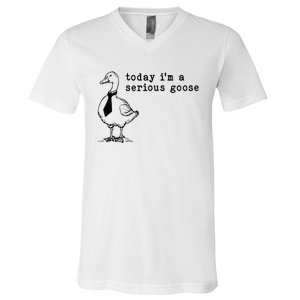 Today IM A Serious Goose V-Neck T-Shirt