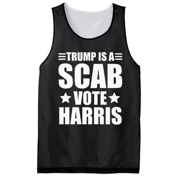 Trump Is A Scab Vote Harris Premium Mesh Reversible Basketball Jersey Tank