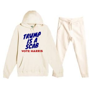 Trump Is A Scab Vote Harris Funny 2024 Premium Hooded Sweatsuit Set