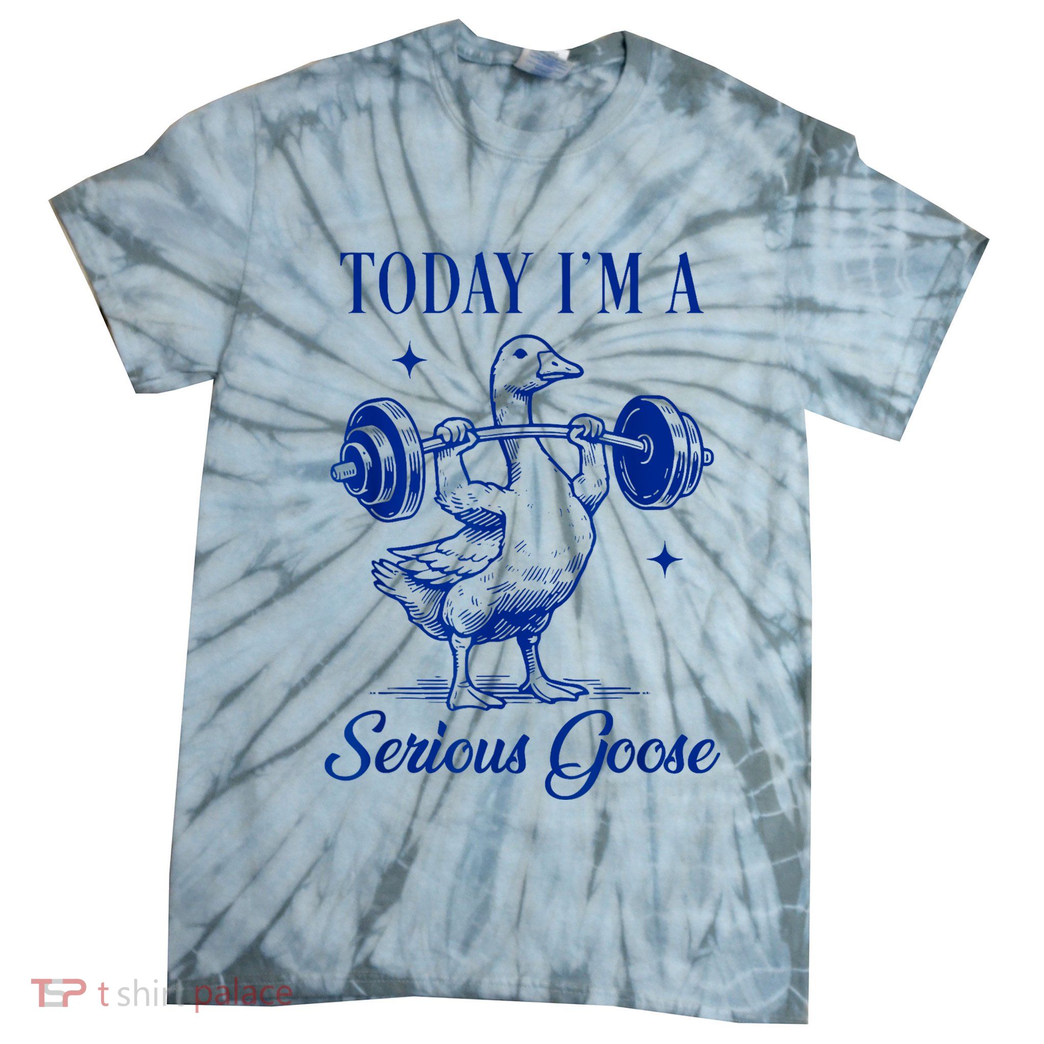 Today IM A Serious Goose Funny Lifting Weights Gym Fitness Tie-Dye T-Shirt