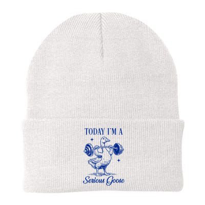 Today IM A Serious Goose Funny Lifting Weights Gym Fitness Beanie