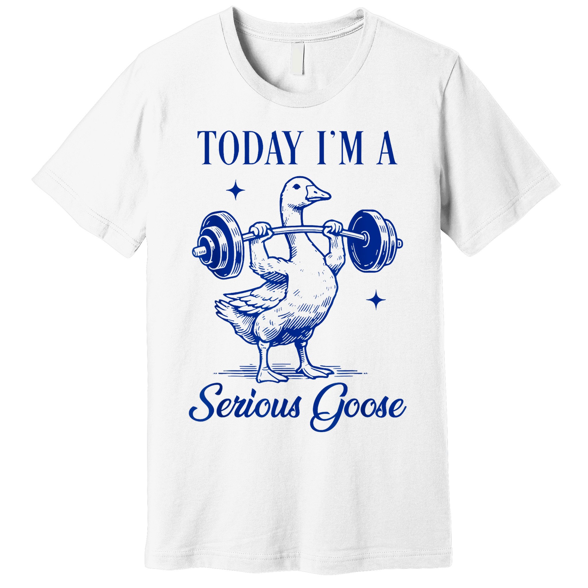 Today IM A Serious Goose Funny Lifting Weights Gym Fitness Premium T-Shirt