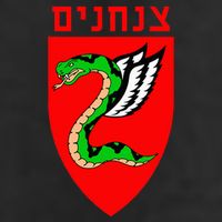 Tzanchanim Israeli Army Paratroopers Brigade Elite Idf Unit Adult Drive Performance Visor