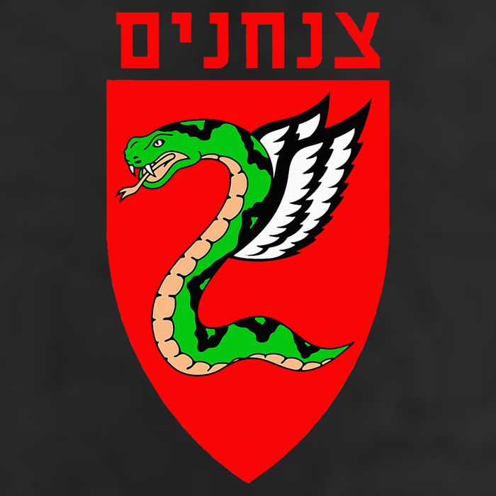 Tzanchanim Israeli Army Paratroopers Brigade Elite Idf Unit Adult Drive Performance Visor