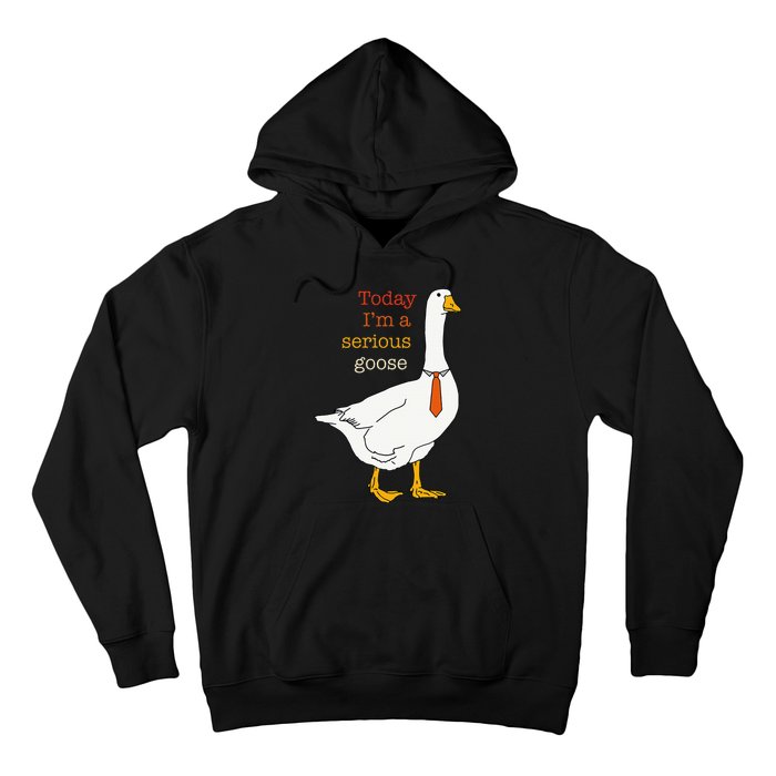 Today IM A Serious Goose Funny Silly Goose Hoodie