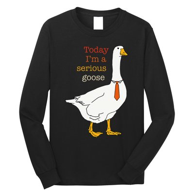 Today IM A Serious Goose Funny Silly Goose Long Sleeve Shirt