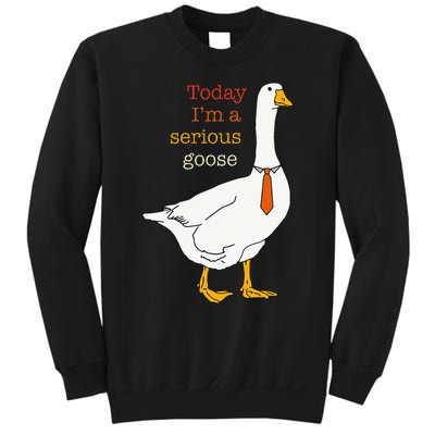 Today IM A Serious Goose Funny Silly Goose Sweatshirt