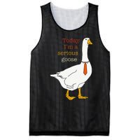 Today IM A Serious Goose Funny Silly Goose Mesh Reversible Basketball Jersey Tank