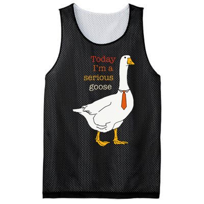 Today IM A Serious Goose Funny Silly Goose Mesh Reversible Basketball Jersey Tank