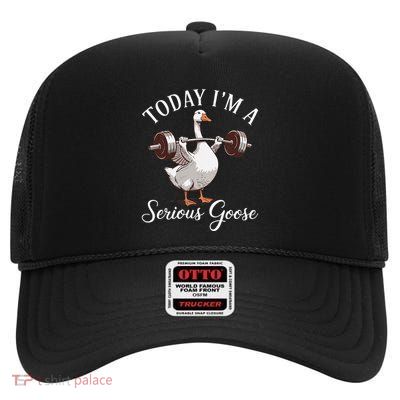 Today IM A Serious Goose High Crown Mesh Back Trucker Hat