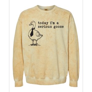 Today Im A Serious Goose Colorblast Crewneck Sweatshirt