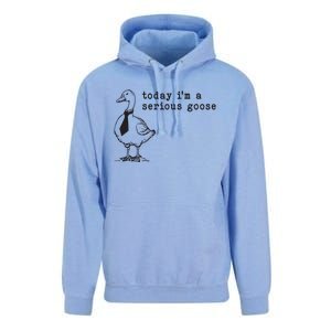 Today Im A Serious Goose Unisex Surf Hoodie