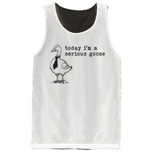 Today Im A Serious Goose Mesh Reversible Basketball Jersey Tank