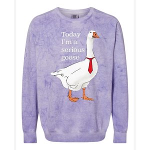 Today I Am A Serious Goose Funny Oddly Specific Dank Meme Colorblast Crewneck Sweatshirt