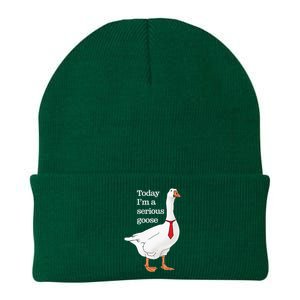 Today I Am A Serious Goose Funny Oddly Specific Dank Meme Knit Cap Winter Beanie