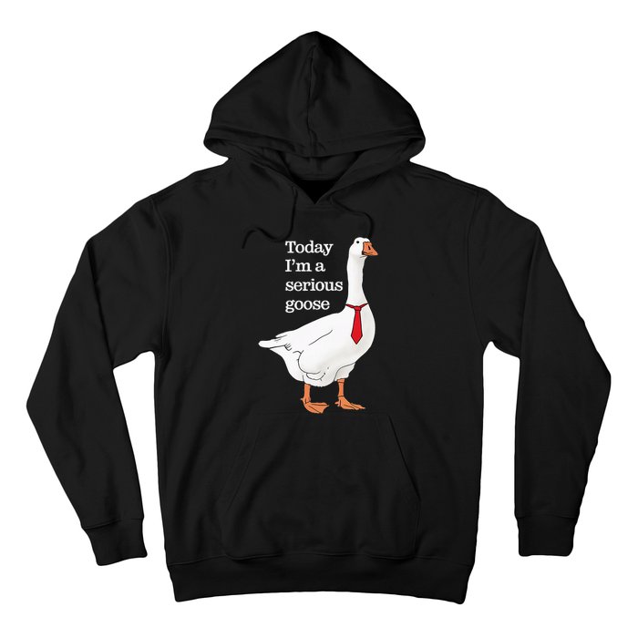 Today I Am A Serious Goose Funny Oddly Specific Dank Meme Hoodie