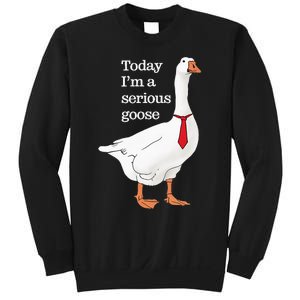 Today I Am A Serious Goose Funny Oddly Specific Dank Meme Sweatshirt