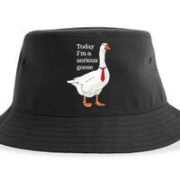 Today I Am A Serious Goose Funny Oddly Specific Dank Meme Sustainable Bucket Hat