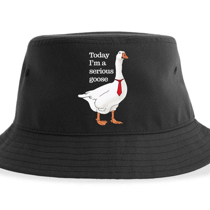 Today I Am A Serious Goose Funny Oddly Specific Dank Meme Sustainable Bucket Hat