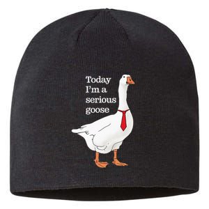 Today I Am A Serious Goose Funny Oddly Specific Dank Meme Sustainable Beanie