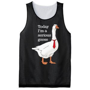 Today I Am A Serious Goose Funny Oddly Specific Dank Meme Mesh Reversible Basketball Jersey Tank