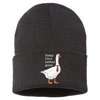 Today I Am A Serious Goose Funny Oddly Specific Dank Meme Sustainable Knit Beanie