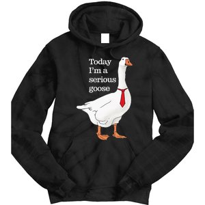 Today I Am A Serious Goose Funny Oddly Specific Dank Meme Tie Dye Hoodie