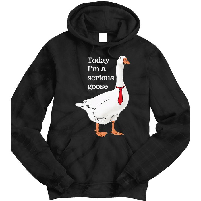 Today I Am A Serious Goose Funny Oddly Specific Dank Meme Tie Dye Hoodie