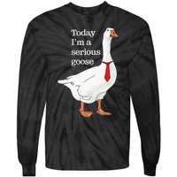 Today I Am A Serious Goose Funny Oddly Specific Dank Meme Tie-Dye Long Sleeve Shirt