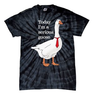 Today I Am A Serious Goose Funny Oddly Specific Dank Meme Tie-Dye T-Shirt