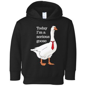 Today I Am A Serious Goose Funny Oddly Specific Dank Meme Toddler Hoodie