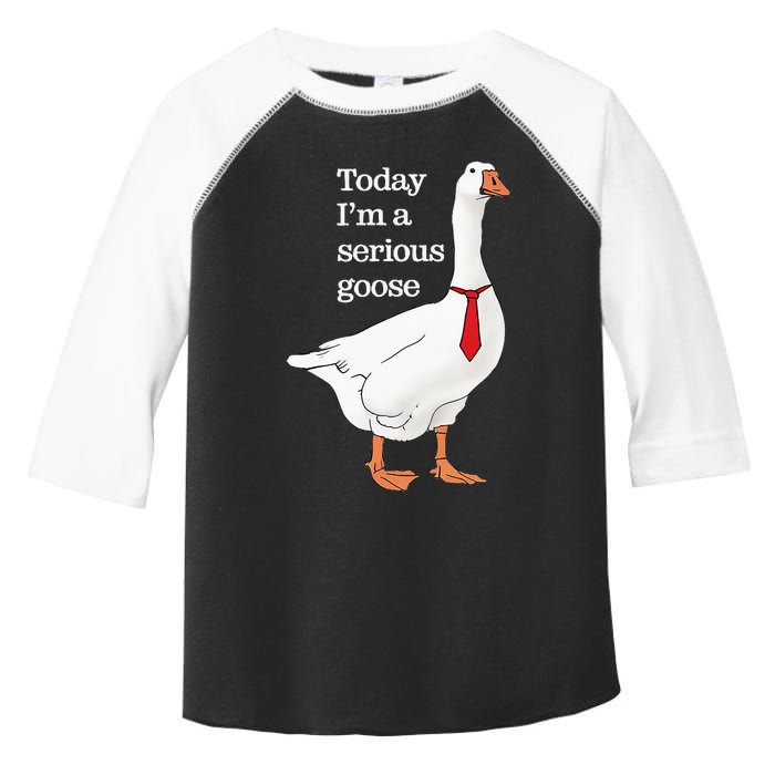 Today I Am A Serious Goose Funny Oddly Specific Dank Meme Toddler Fine Jersey T-Shirt