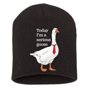 Today I Am A Serious Goose Funny Oddly Specific Dank Meme Short Acrylic Beanie